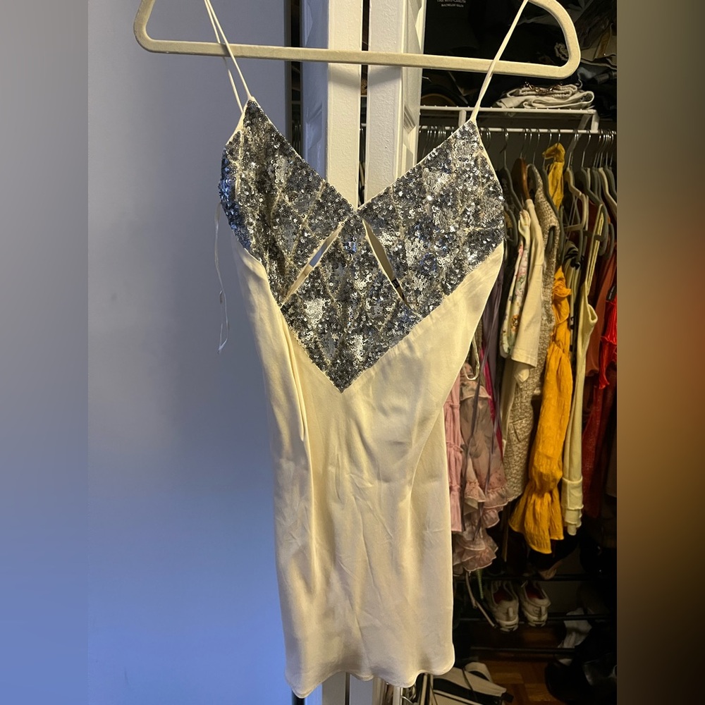 NWT Zara dress